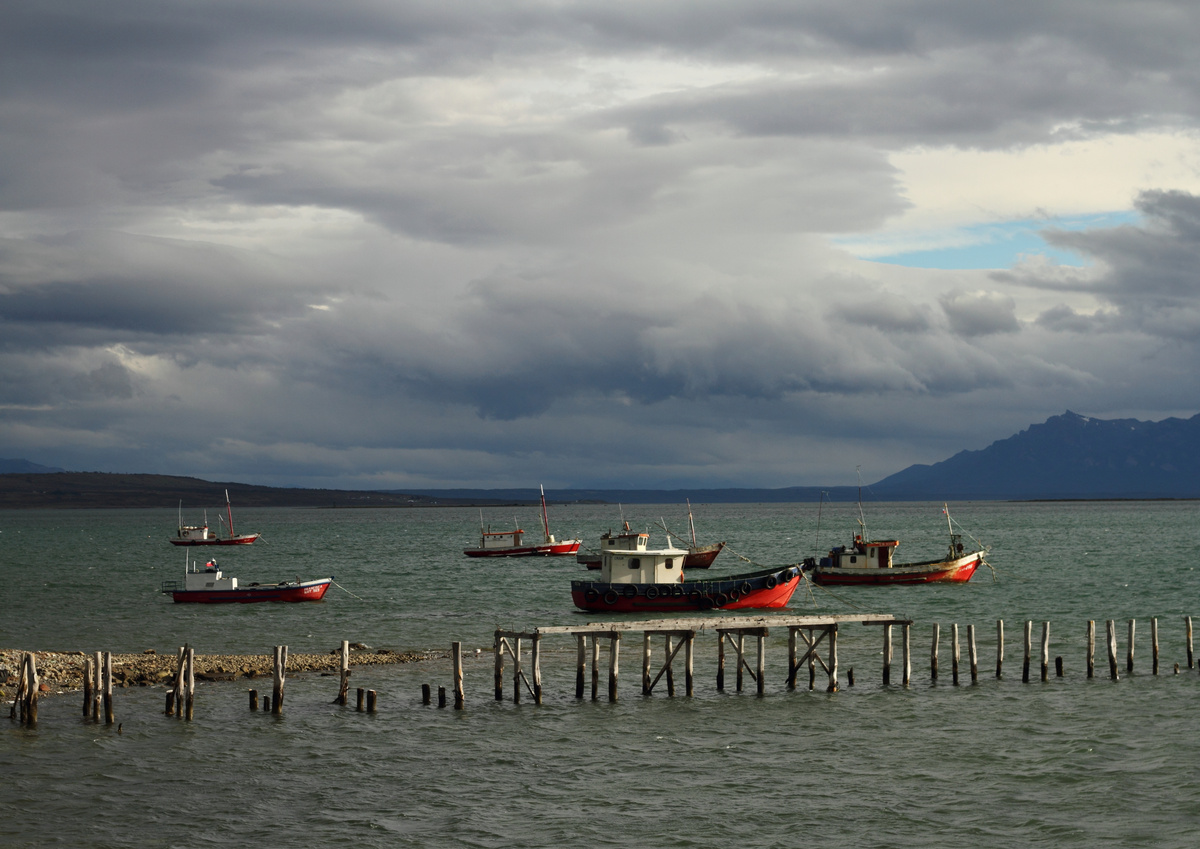 Chilean fishing fleet